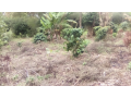 kibiko-ngong14-acre-on-sale-small-0