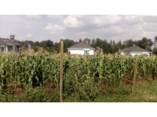 Kibiko:1/2 Acre on Sale.