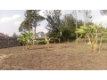 memusi-matasia12-acre-on-sale-small-1
