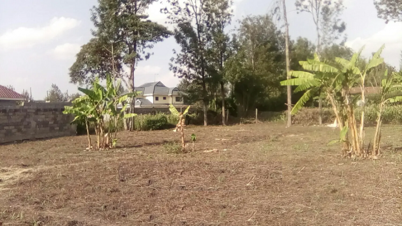 memusi-matasia12-acre-on-sale-big-1