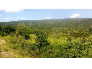 60 Acres for Sale, Kajiado County