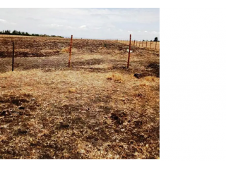 50 Acres for Sale at Kisaju