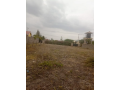 kitengela-14-plot-at-muigai-estate-3rd-lane-small-0