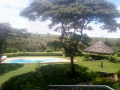 hotel-villa-on-7-acres-next-to-national-park-small-2