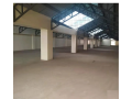 warehouse-20000sqft-embakasi-sale-wh008-small-1