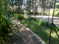 office-to-let-350sqftkilimani-small-2