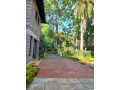 serviced-offices-for-rent-lavington-on-3-acres-small-2