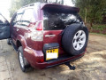 toyota-prado-small-2