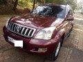 toyota-prado-small-0