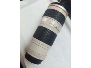 Canon 70-200mm F4