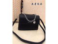 handbag-small-2