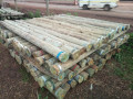 fencing-poles-small-1