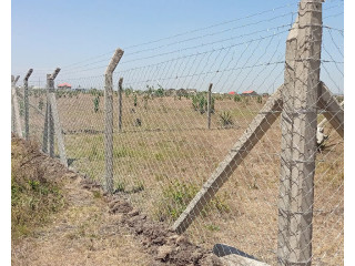 Wire Fence Installation