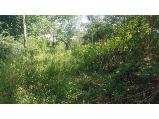 Land For 20 Years Lease For Building Permanent Flats (35k Pm