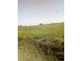 kiambu-land-for-rent-small-2