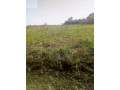 kiambu-land-for-rent-small-0