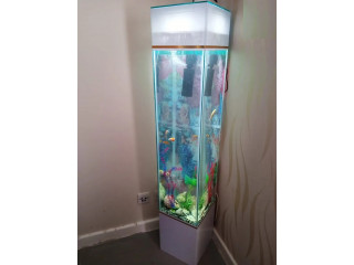 Aquarium Tower