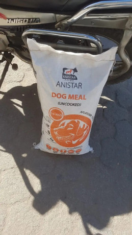 premium-dog-food-big-0