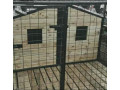 kenneldog-house-small-1