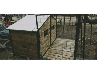 Kennel/Dog House