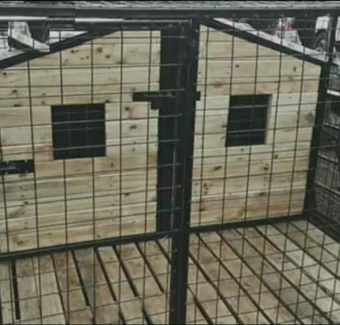 kenneldog-house-big-1