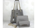 handbag-small-2