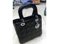 handbag-small-2