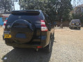 toyota-prado-150-small-2