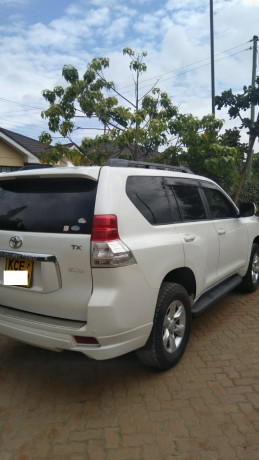 toyota-prado-big-2